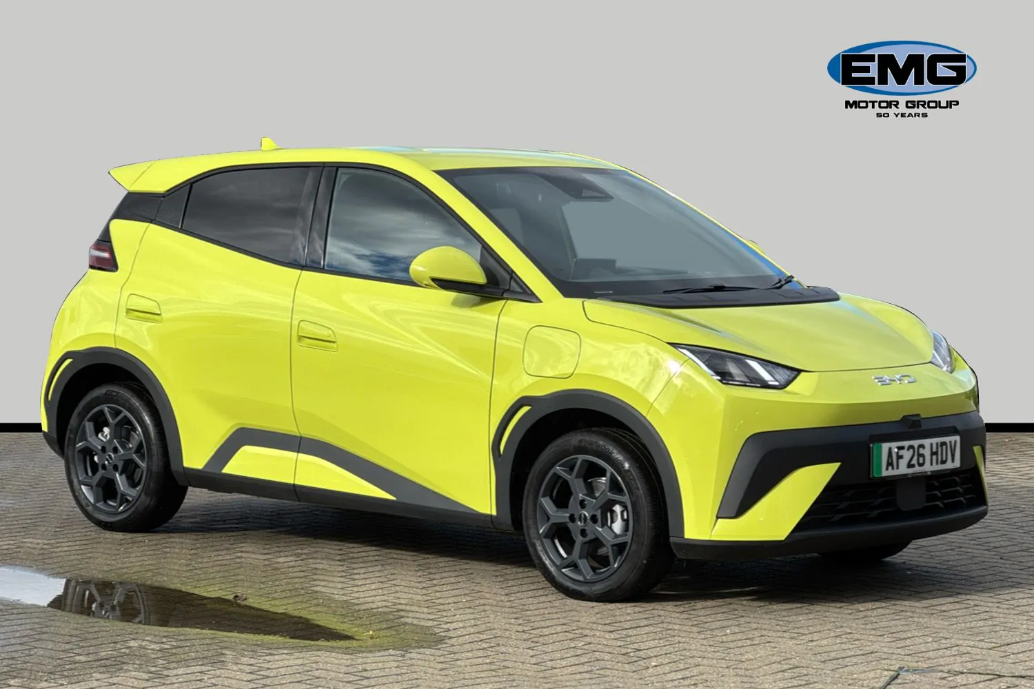 2026 Byd Dolphin Surf
