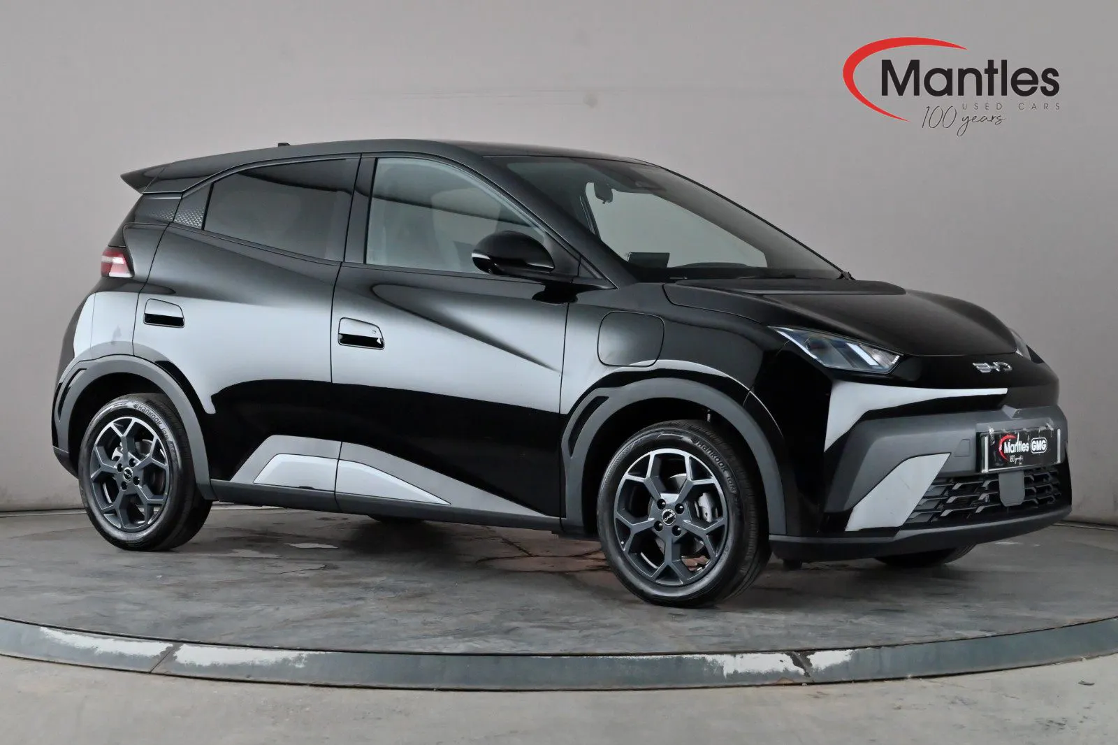 2026 Byd Dolphin Surf