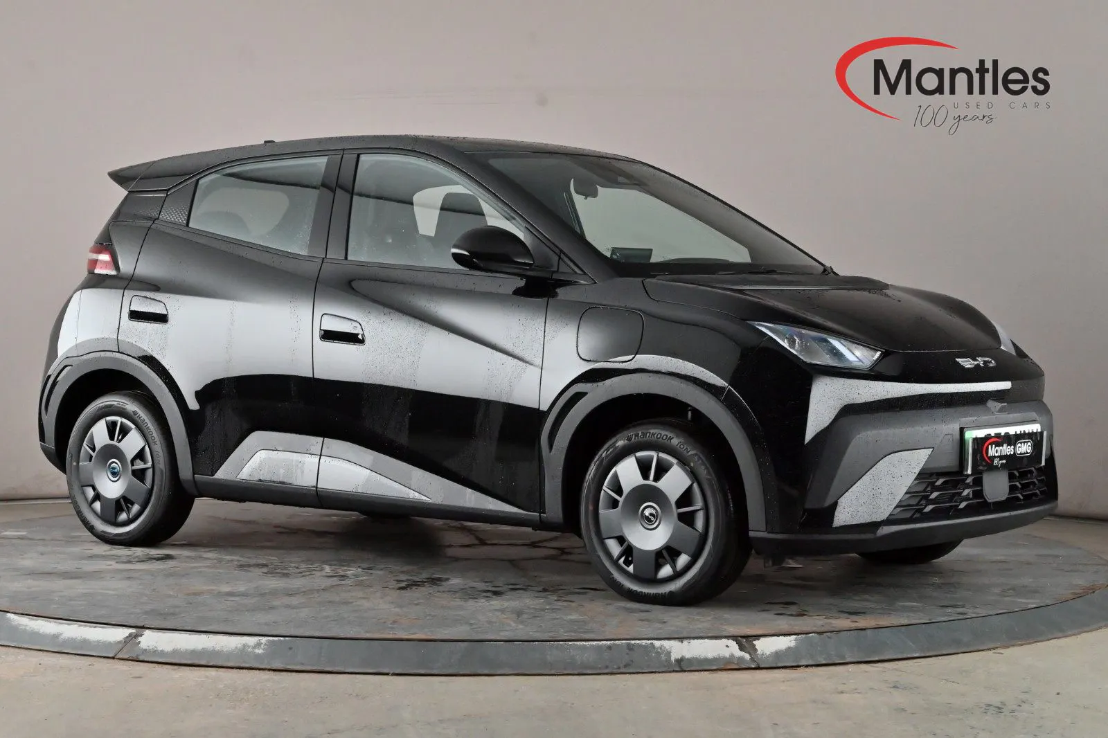 2026 Byd Dolphin Surf