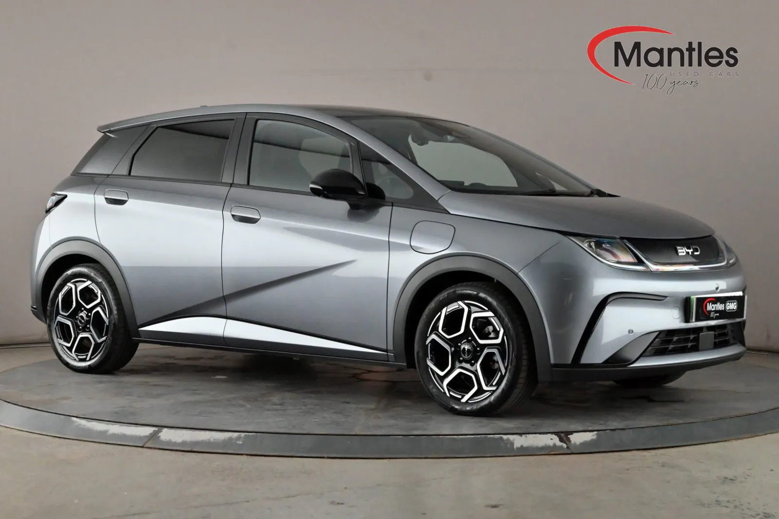 BYD Dolphin listing photo