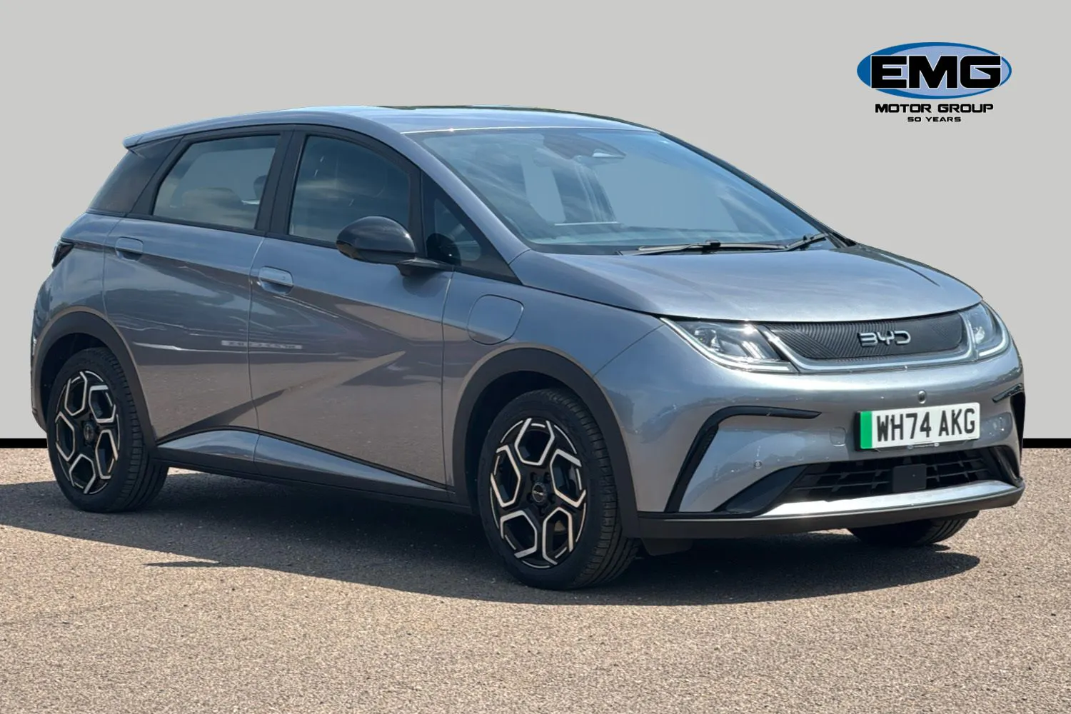 BYD Dolphin dealer public-web source image